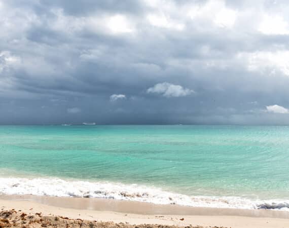 florida's best cruise ship attorneys