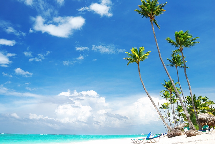 cruise ship injuries